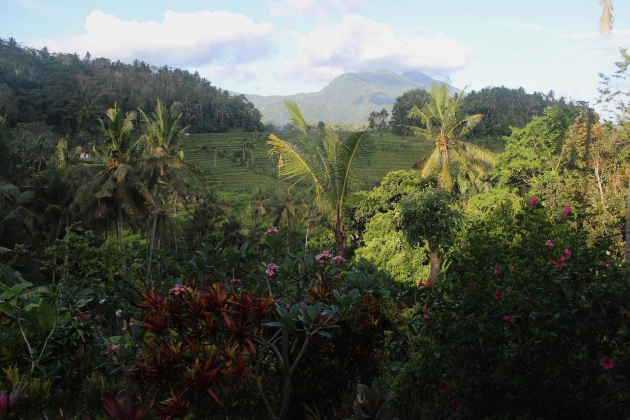 Pondok Lembah Dukuh Homestay Karangasem Exteriör bild