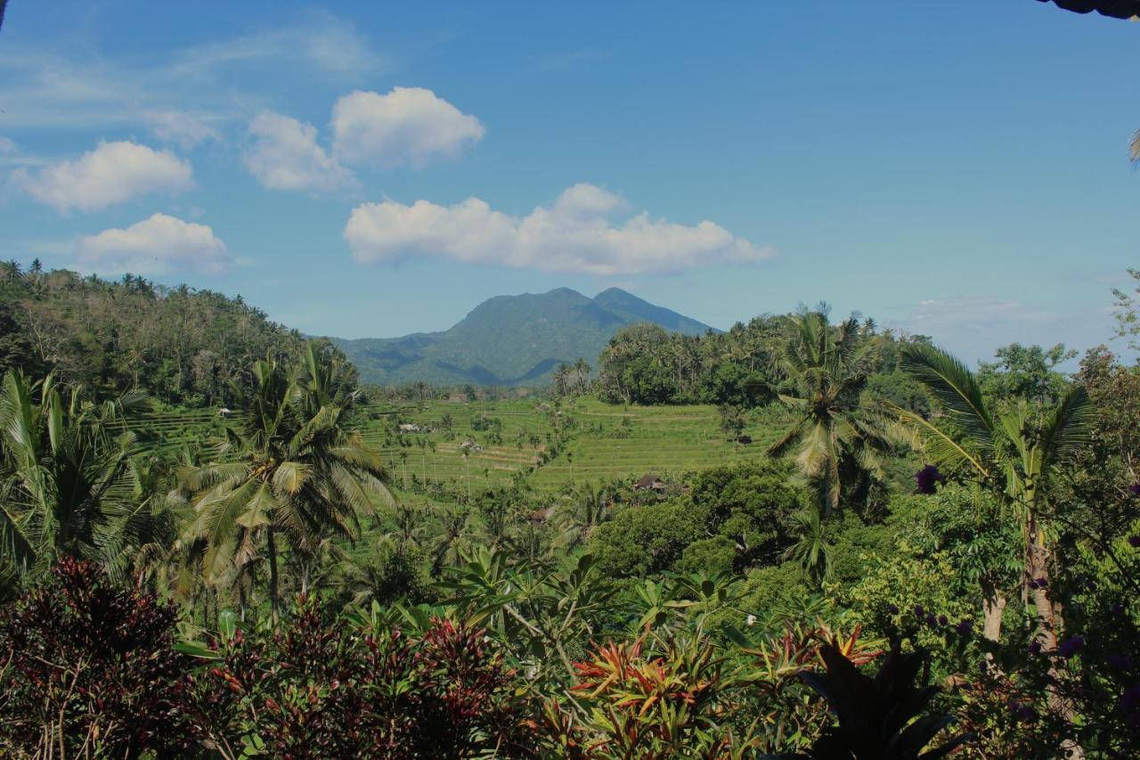 Pondok Lembah Dukuh Homestay Karangasem Exteriör bild