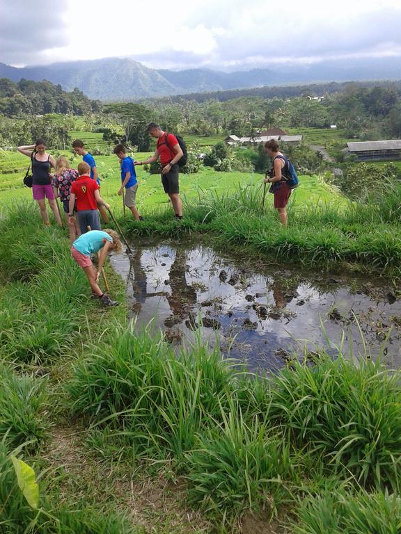 Pondok Lembah Dukuh Homestay Karangasem Exteriör bild
